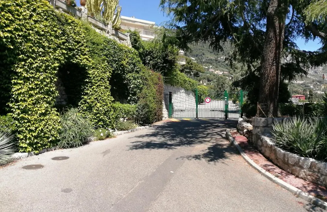 Studio Les Palmiers-1