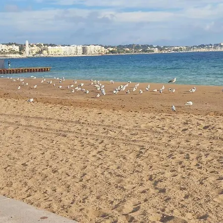 T2 climatisé à 5 minutes à pied de la plage avec parking, piscine et wifi-3
