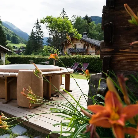 Chalet sur les monts Morzine-3