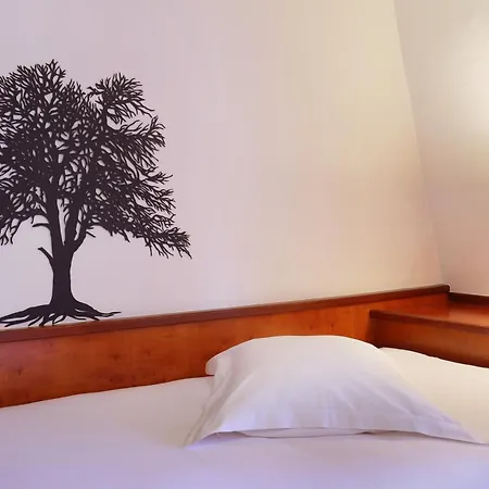 Hotel Suisse-2