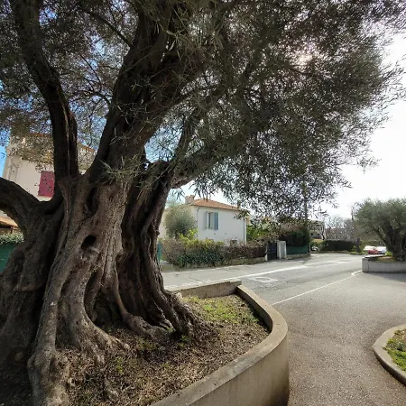 Villa La Desiree - Haut De Villa, 68M2, 8 Personnes Max, Climatise, 4 Etoiles, 120M2 De Jardin Et Parking, Wifi, Vu Mer-3