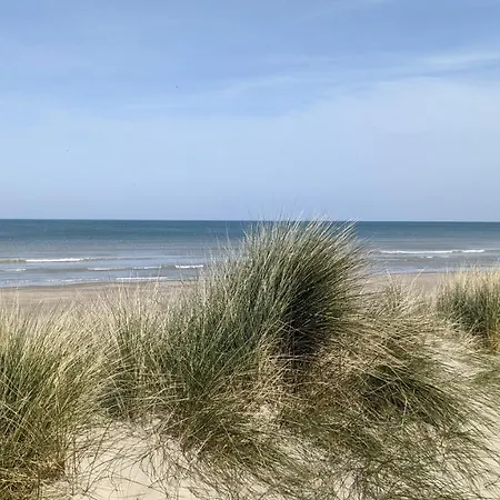 Rêve Bleu-2