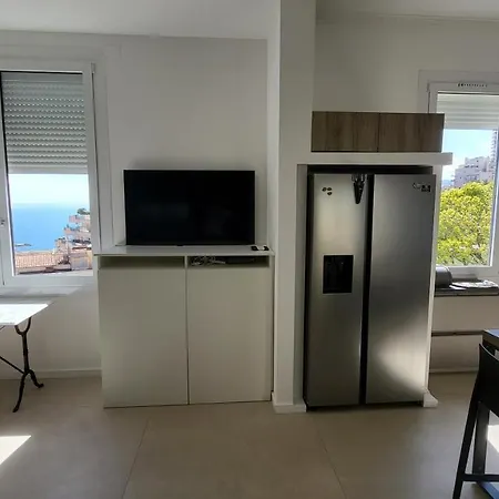 Flat In Villa, Pool & Fitness, Monaco, Bnbrickeys-3