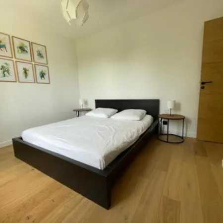 Beautiful Architect Villa-3
