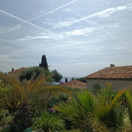 L'Albizia-2