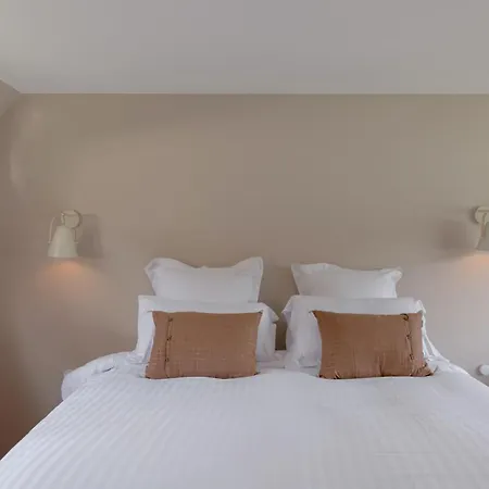 La Peniche - Bed And Bicycle - Vienne-3