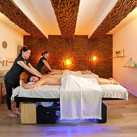 Negrecoste Hôtel&Spa-2