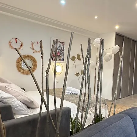 Grand Studio Cosy Cannes Centre-2