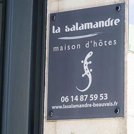 La Salamandre-2
