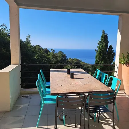 Spacious Dream Villa Near Monaco-2