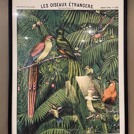Hotel Le Pelican-3