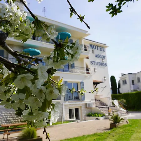 MOTEL ASCOT - Hotel&Appartements-3
