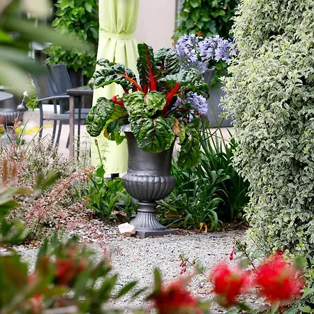 Hotel Le Branhoc - Brit Hotel Auray-2