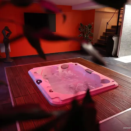 Ds Plaisir Love Room avec sauna, jacuzzi à Nancy-3
