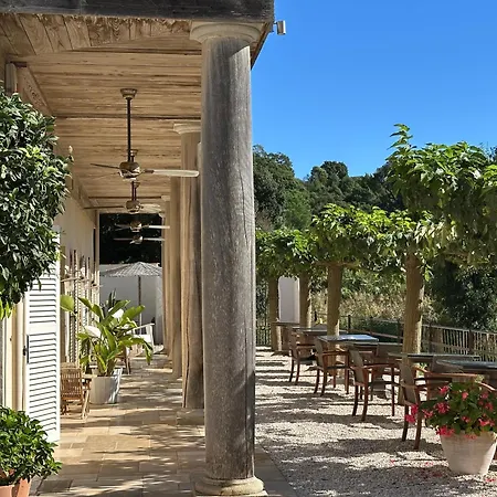 Le Clos des Sept Palmiers-2