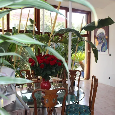 Villa Kumquats-3