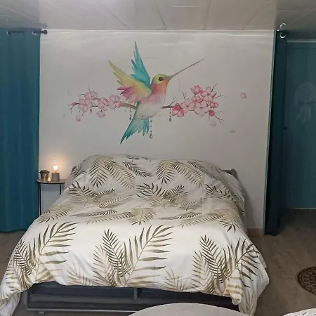 Le nid du Colibri-3