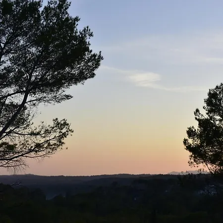 Ô Tilia d'Azur-2