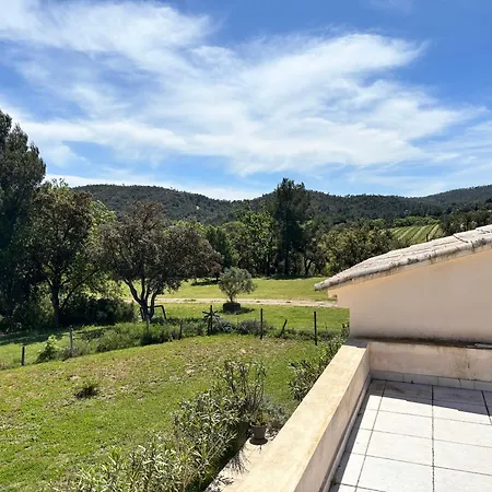 Le Pin D'Alep-2