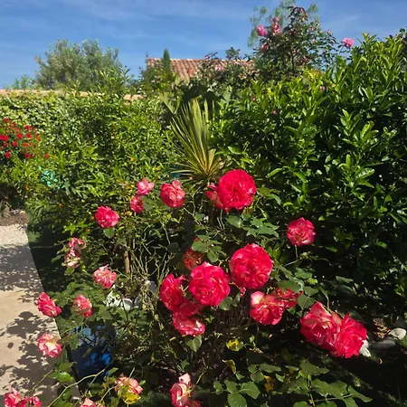 Chambre d'hôtes dans Villa Diane-3