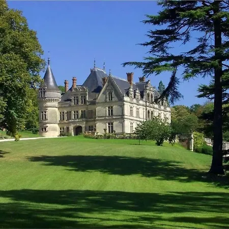 Château De La Bourdaisière-2