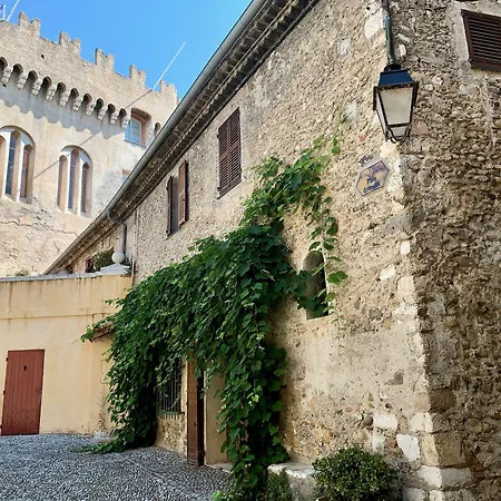 Château Le Cagnard-2