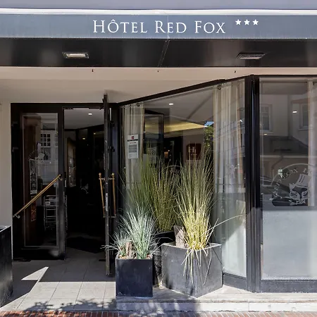 Red Fox-2