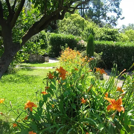 Mas de Vence - Hotel-Restaurant-3