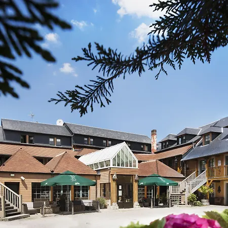 Hotel Et Spa Le Lion D'Or-2