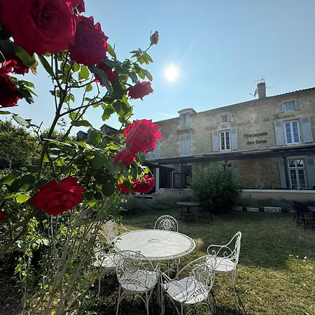 Hotel De France Et De Russie-3