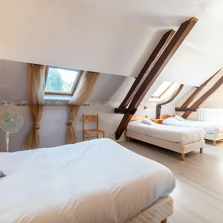 Hotel Du Cygne-2