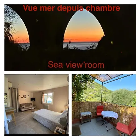 Studio Pied Village Eze - Dans Villa - Parking Gratuit-2