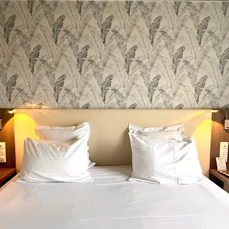 Best Western Hotel Ile de France-3