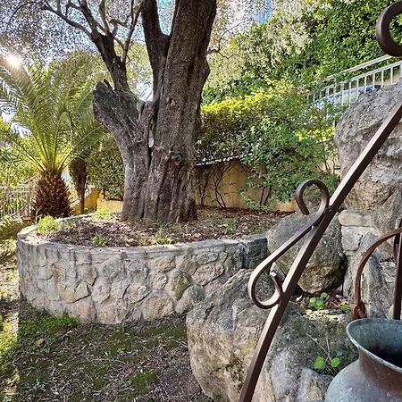 Villa Soraya Nice - Sunny Appartment Cote D'Azur With Large Garden-3