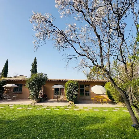 Mas La Provence-3