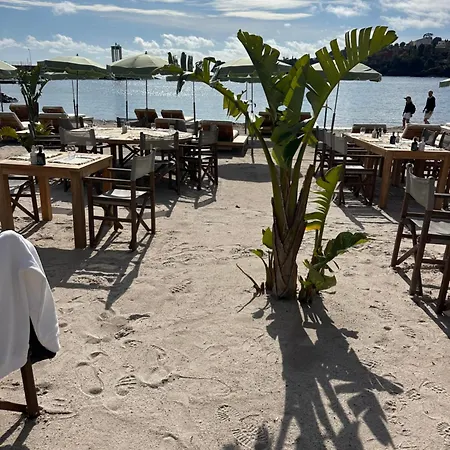 Vue mer et sur la baie de Cannes piscine 450m2 randonnée VTT au pied de l Esterel-2