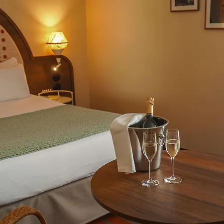 Mercure Arles Centre Arenes-3