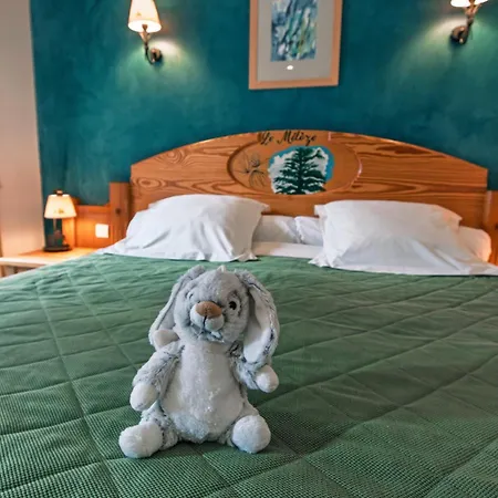 Hôtel Le Bois Joli-2