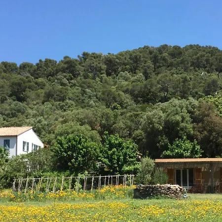Le Manoir de Port-Cros-2