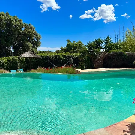 Villa Des Delices-2