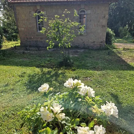 Château de Bayssan-2