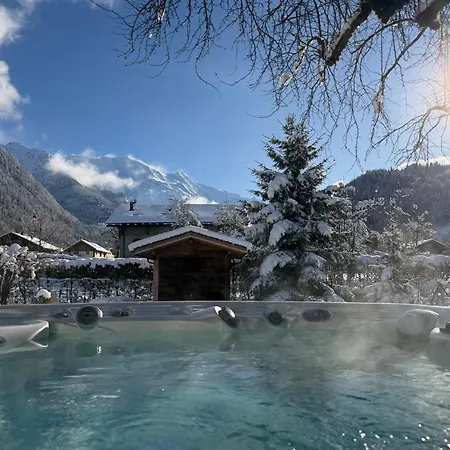 Chalet L'Aiglon-3