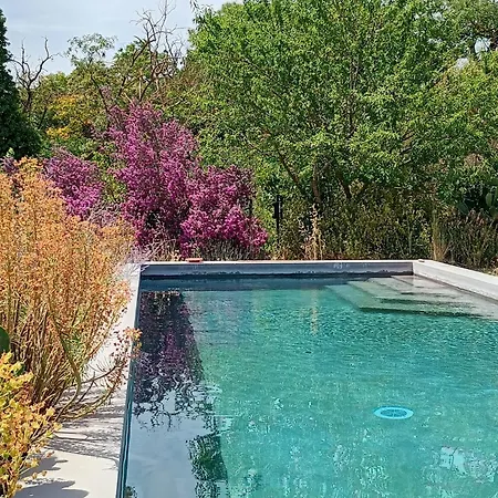 Domaine De Manteau-Bleu-3