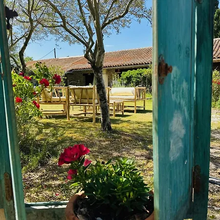 Mas La Provence-2