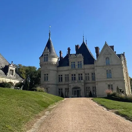Château De La Bourdaisière-3