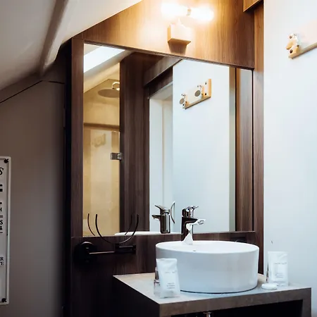 Hotel Le Dauphin Les Loges-2