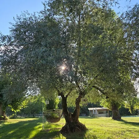 Le Domaine De Dolly-2