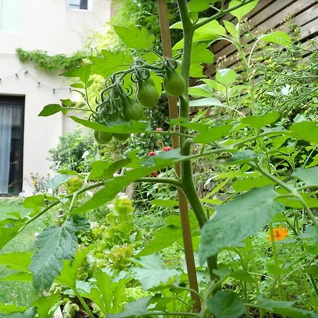 La Campagne à Paris B&B-3