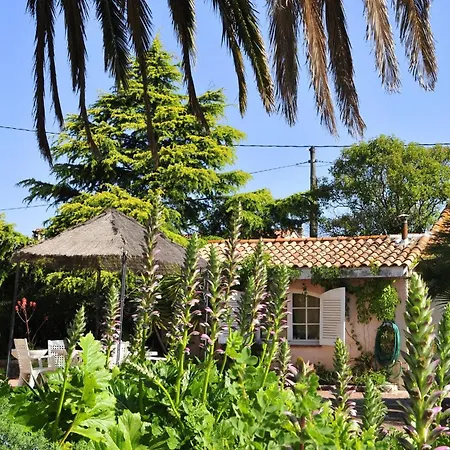 Village Vacances Le Kangourou By Popinns-2