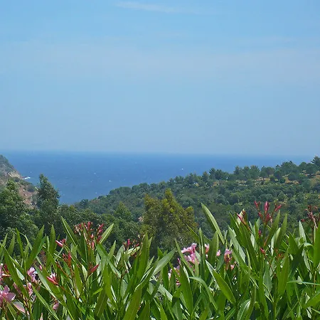 Valao Verde-2